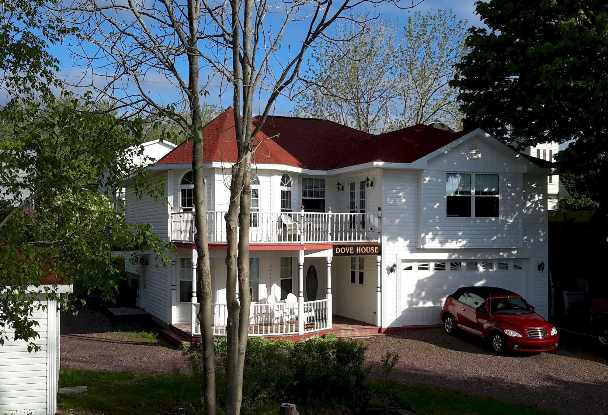 Dove House Bed & Breakfast Harbourside North Sydney Kültér fotó